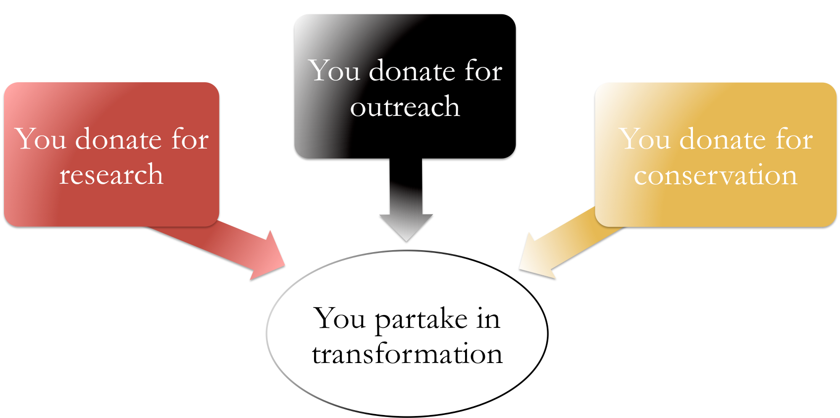 Diagram donate